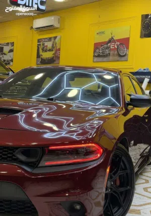 Used Dodge Charger in Basra