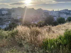 البحيره دنم ارض للبيع المستعجل