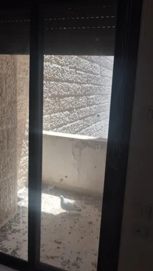 شقه للايجار ضاحيه الغدير العماره رقم 5 الطابق الثالث