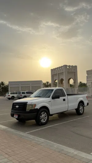Ford F-150 2009 2WD