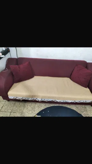 تخم قنفات والسعر بي مجال