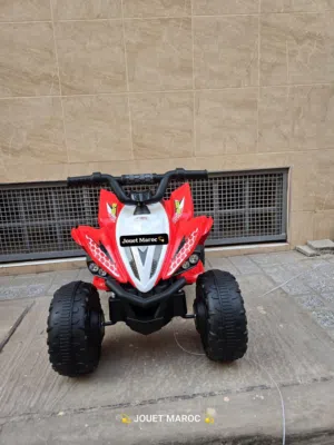 MOTEUR QUAD 12V    2 PLACES MINI