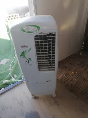 كندشنات صحراوي