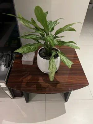 clearance prices for high quality used furniture in great condition