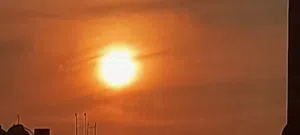 ناصر فاروق عمر 