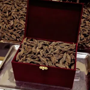 عود تايجر فيتنامي فاخر