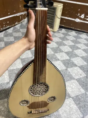 عود مصري للبيع   وبي مجال للشراي