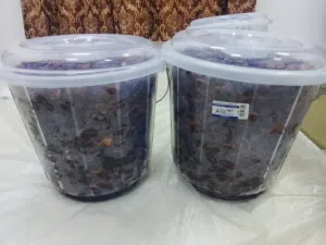 حلال عمان الخير