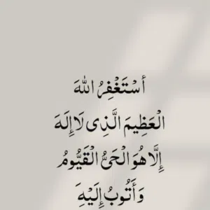 amr abdalgliel 