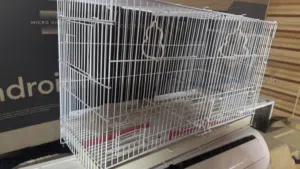 Bird cage with internal partition