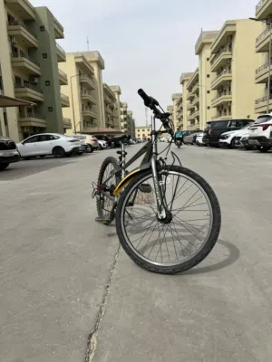 بايسكل جبلي بدون دبلات