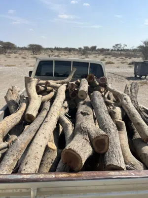 حطب سمر للبيع