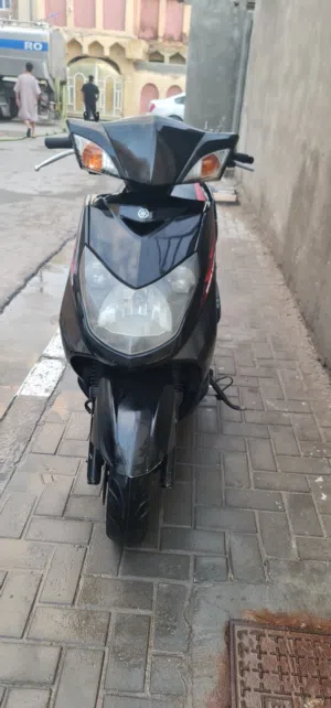 سكنس يابني فحل