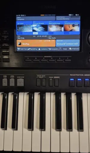 Yamaha psr-sx900