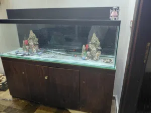 حوض سمك للبيع