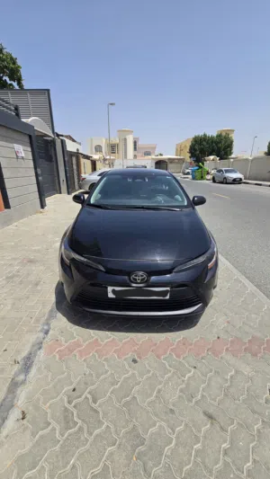 Toyota corola le model 2024 . excellent condition just drive Registration car guarantee engine chass