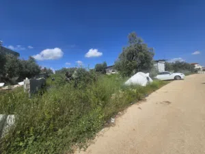 ارض تصنيف b كوشان طابو فلسطيني غربي بلدة عزون قريبة من مبنى التخطيط