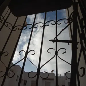 عمر عبد العزيز 