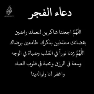 ابو راشد 