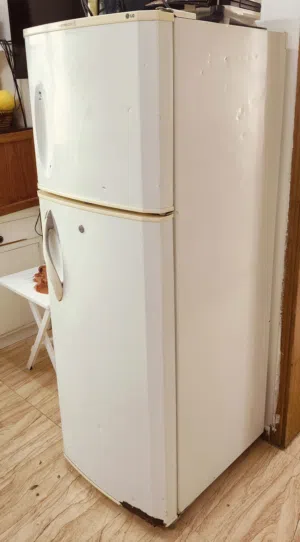 LG Refrigerator (express cool)