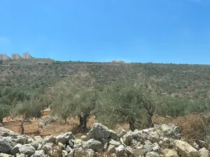 Farm . 13 donum . Landlord2