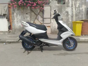 ماكس مضلع مكفولة كفالة عامة