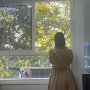 لبنى النتشه 