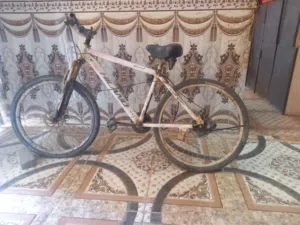 باسكل جبلي