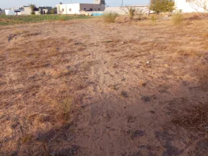 Mixed Use Land for Rent in Tripoli Wadi Al-Rabi