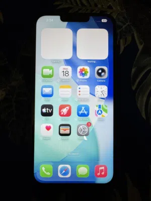 Iphone 13 pro max 256gb