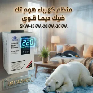 أقوى منظّم كهرباء واسع الجهد من Home-Tech. أمان شامل لأجهزتك! من 45V إلى الثبات التام..منظّم الجهد