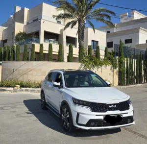 sorento 23/24 plug in hyprid.