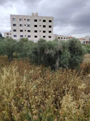 ارض 550 .  بيت  وزن  طابو تصلح لبنايه. سكنيه مطله. كاشفه. بسعر مغري جدا البيع للضروره