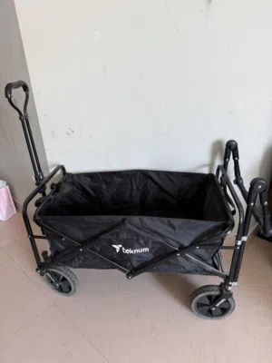 Stroller Wagon with canopy