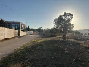 Farm Land for Sale in Zarqa Al-Alouk
