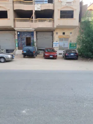 قدرى 
