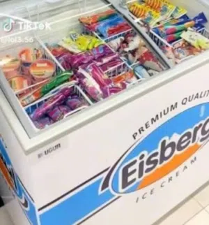 ثلاجة بوزه للبيع