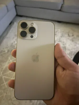 13 pro max