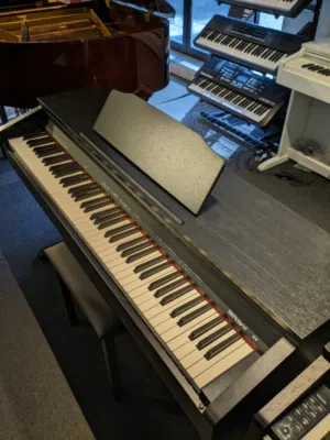 ديجيتال بيانو رولاند RP-30