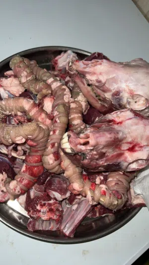 مطلوب ذبيحه فلوسهاا اخر شهر يكون ماتوصل 60 كبش او جدي