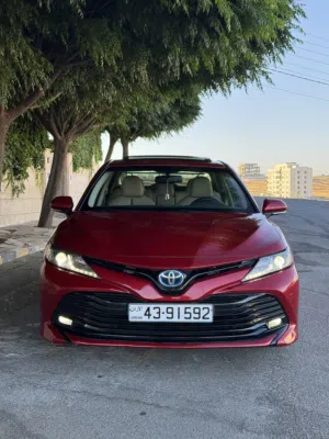 Used Toyota Camry in Amman
