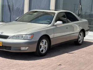 EL300لكزاز