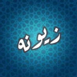 قطعه ارض في زيونه محله 716