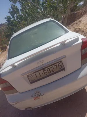 ‏أبقار‏4