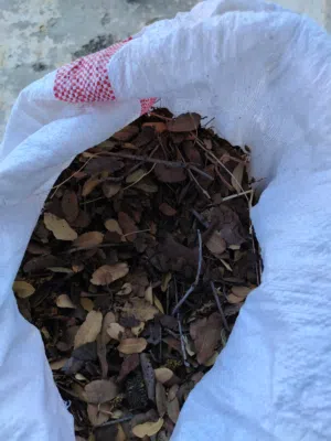ورق؛ شجر عضو  سماد للا؛ شجار وكافه الزرع