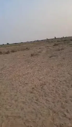 Farm Land for Sale in Al Hudaydah Other