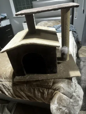 بيت قطط ومستلزمات للبيع