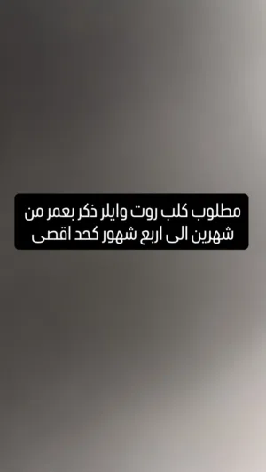 مطلوب كلب روت وايلر
