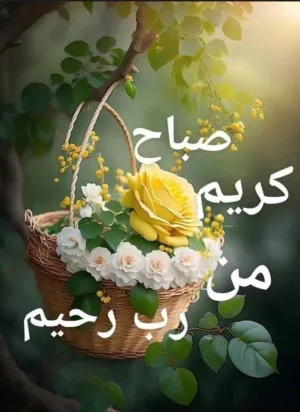 مها سليم يغمور 