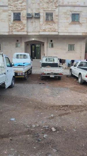 عماد سليمان 